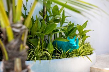 Location Villa Palapa Koh Samui Thaïlande